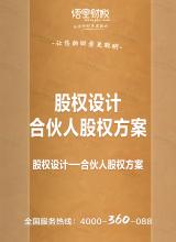 合伙人股权方案