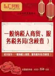 一般纳税人商贸、服务-税务局（含核查）