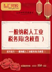 一般纳税人工业-税务局（含核查）