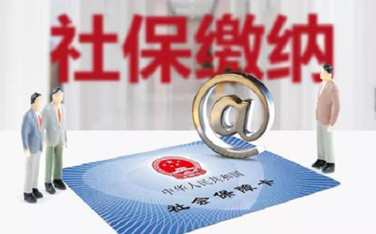 如何进行社保缴纳？