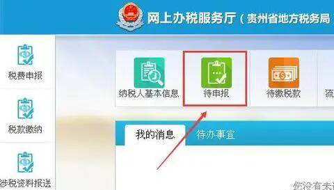 贵州省地方税务局网上报税系统