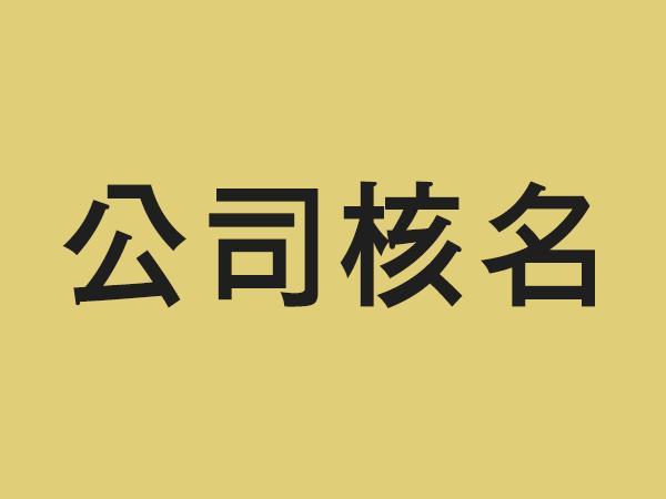 新成立公司核名的相关内容