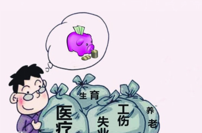 缴纳保险