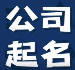 简单大气的网络公司起名大全