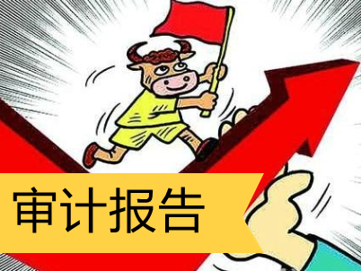 事务所审计报告