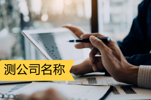 测公司名称的案例