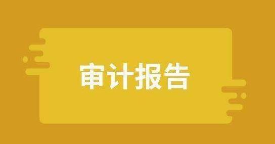 内部审计报告