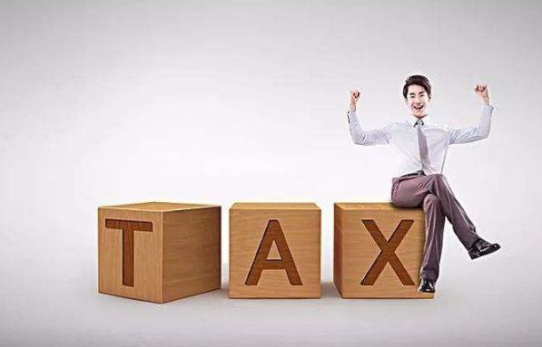 现在工商年报里的纳税总额指的是什么