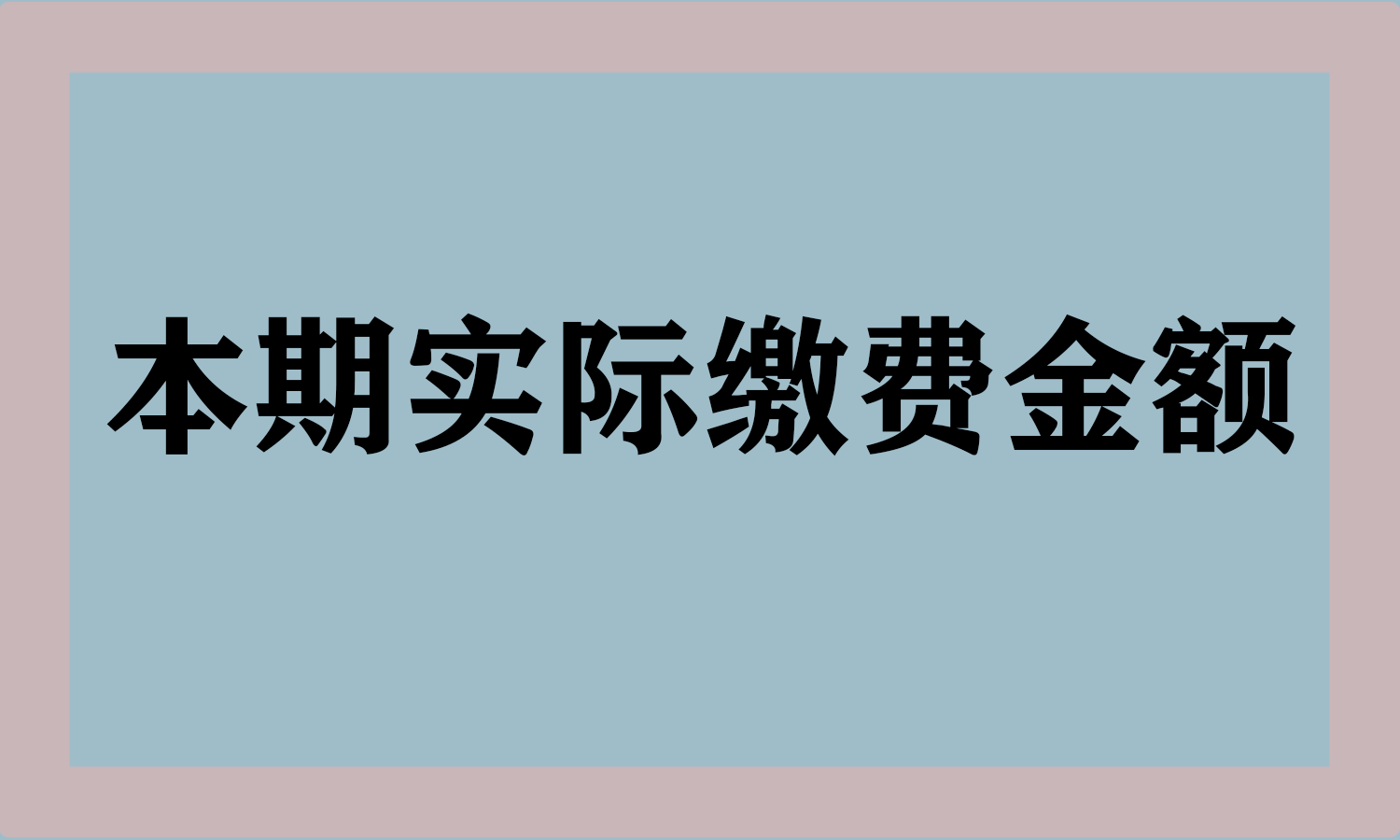 本期实际缴费金额