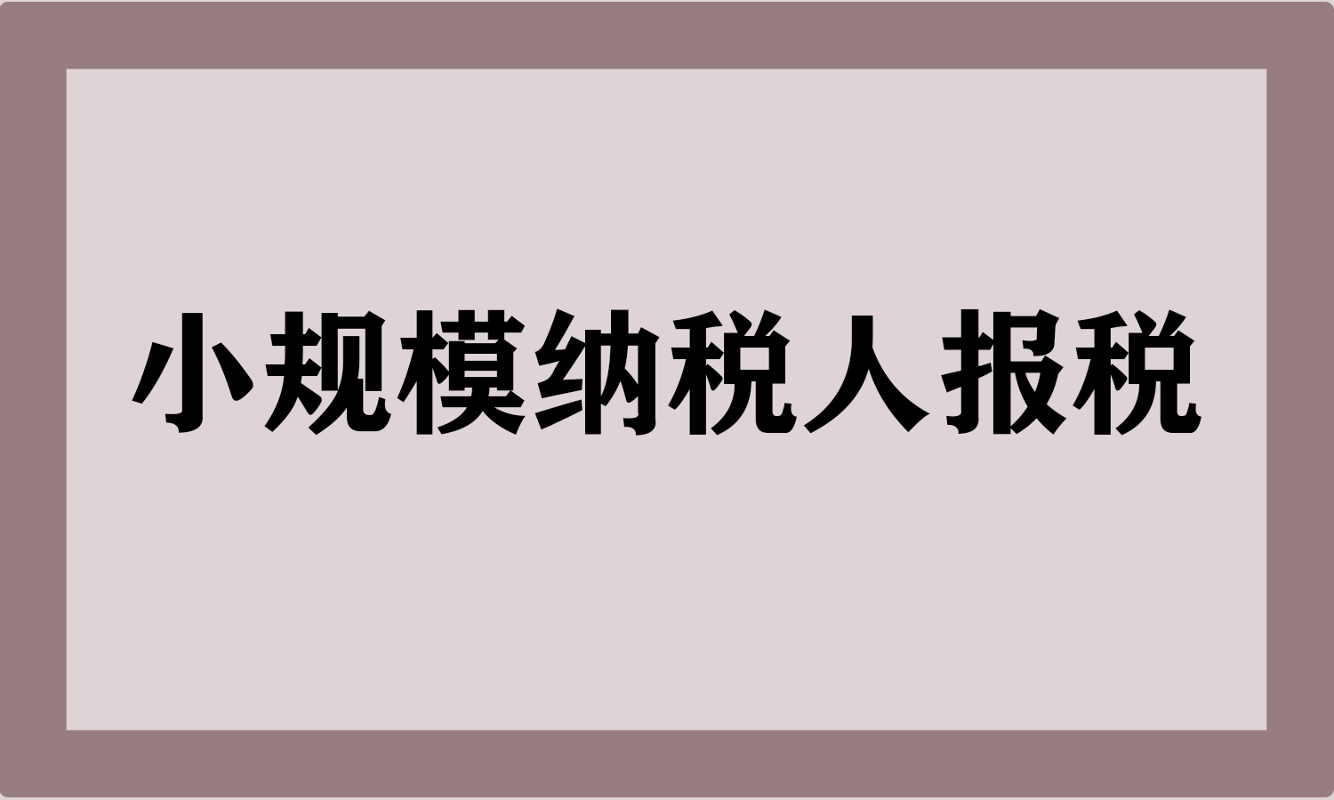 小规模纳税人报税