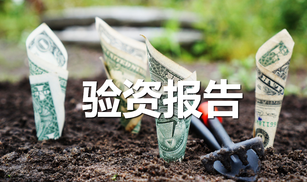 验资报告