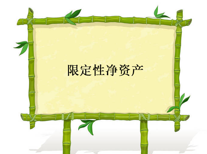 限定性净资产的账务处理