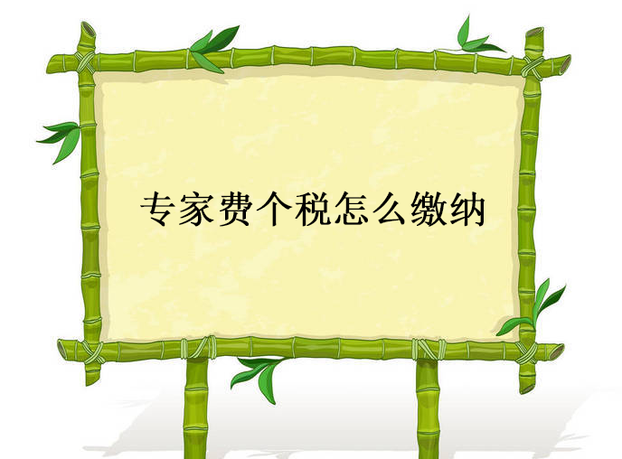 专家费个税怎么缴纳？