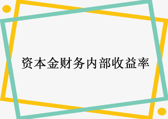 资本金财务内部收益率