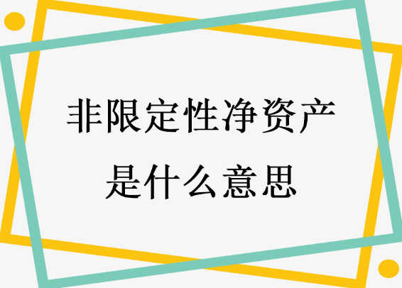 非限定性净资产是什么意思？