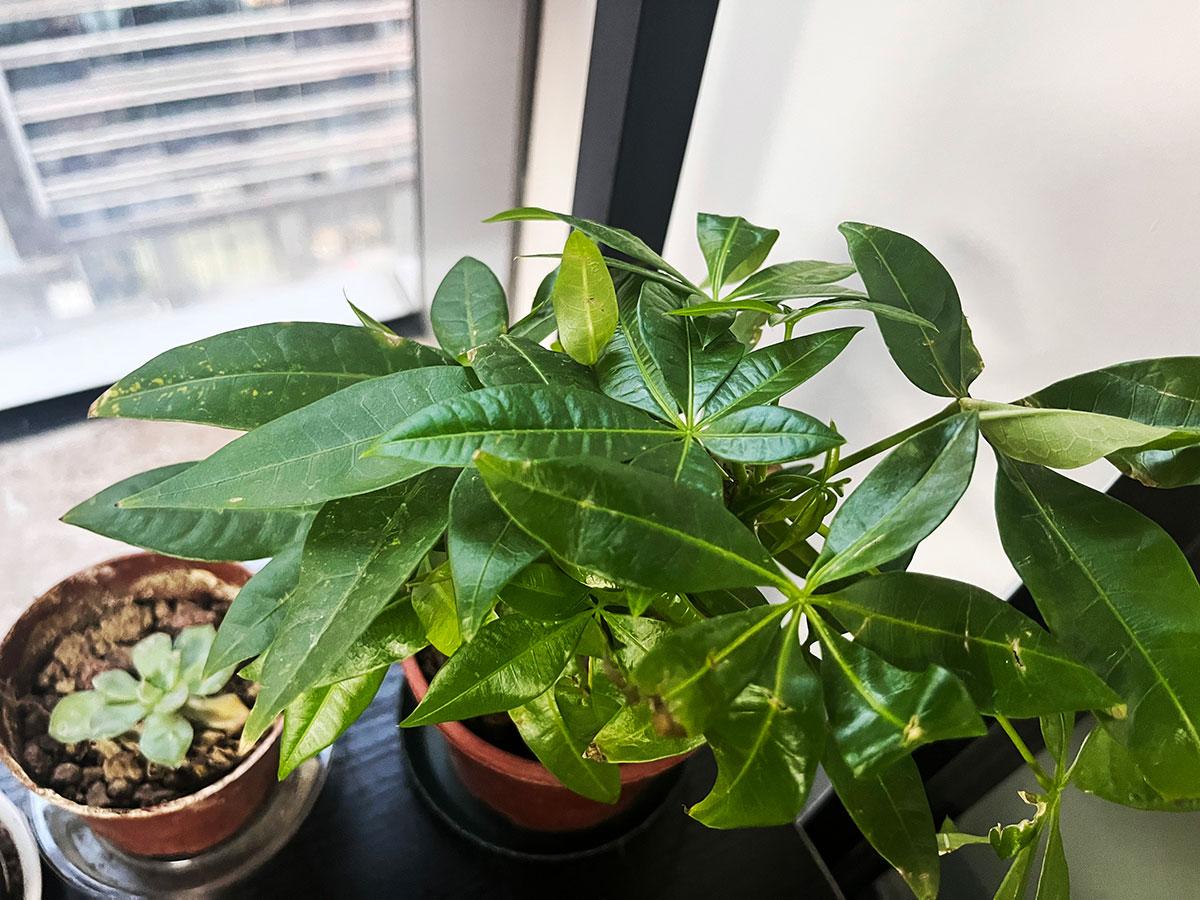 企业年报的重要性分享