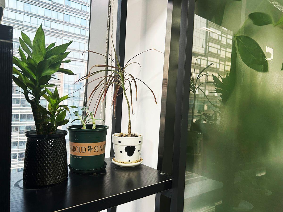 本地代办注册公司具体费用构成分享