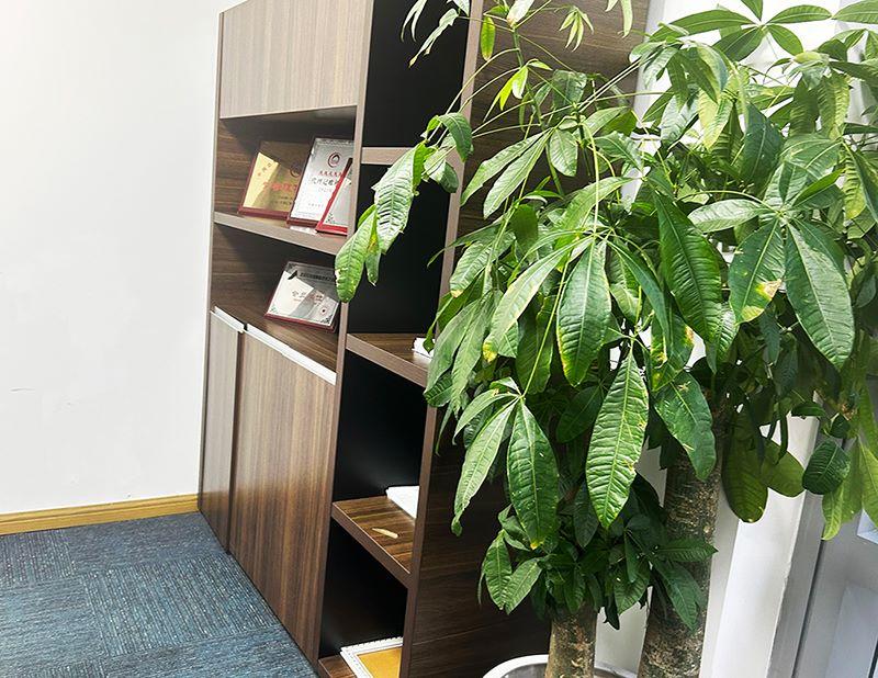 花都新公司申请注册流程介绍