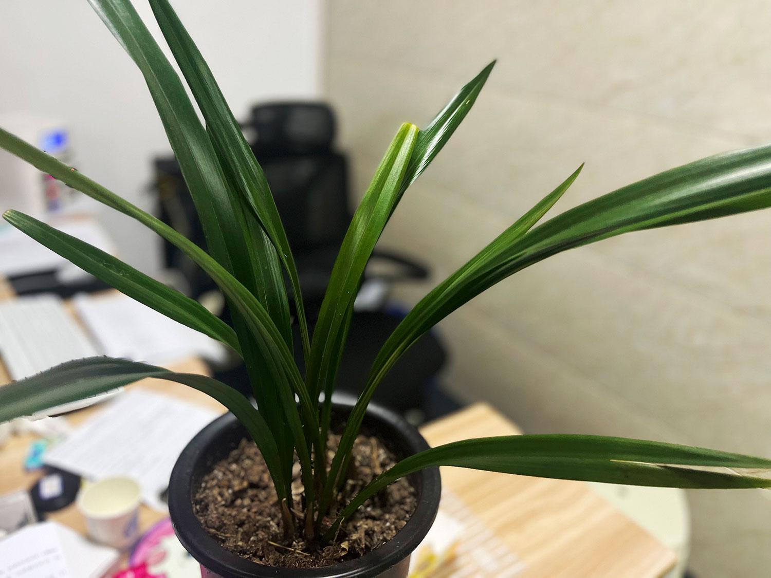 代理记账中客户经常问的问题