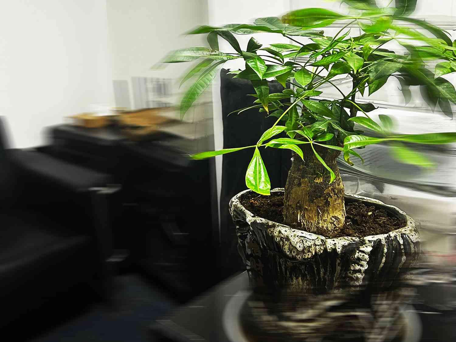 汽车维修设备你了解多少