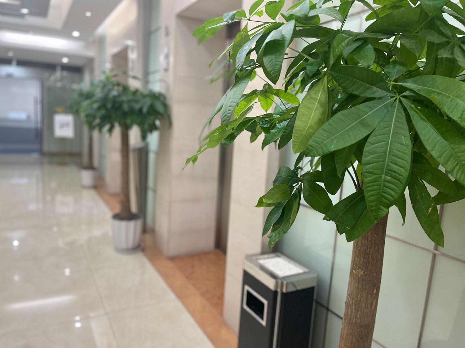 网上公司起名流程