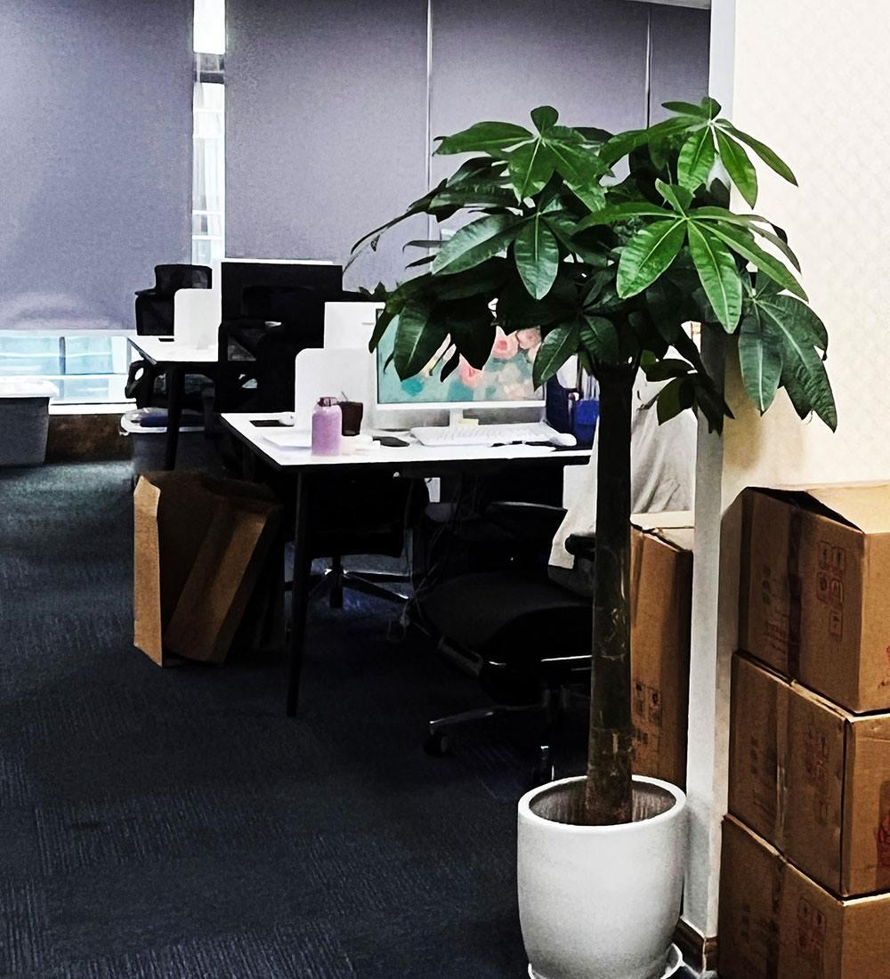 汽车维修许可证办理指南