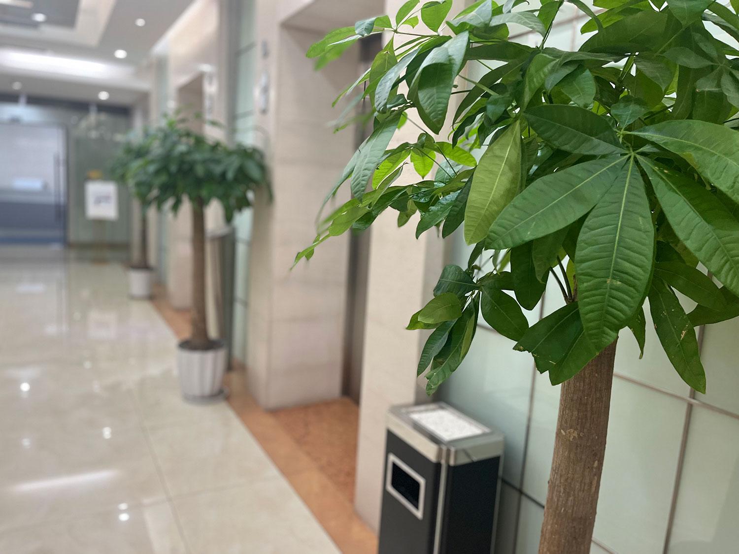 广告公司起名的注意事项