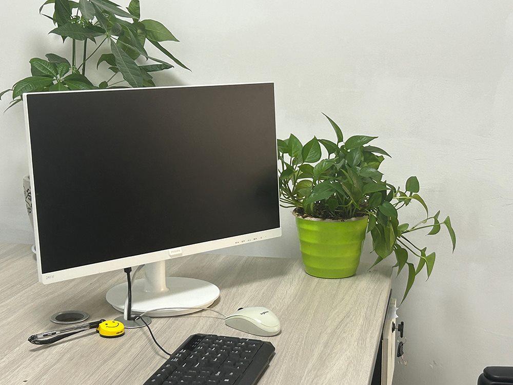 高新技术企业研发费用专项审计