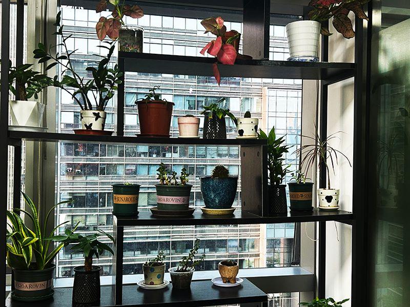 高新技术企业区域政策认定办法