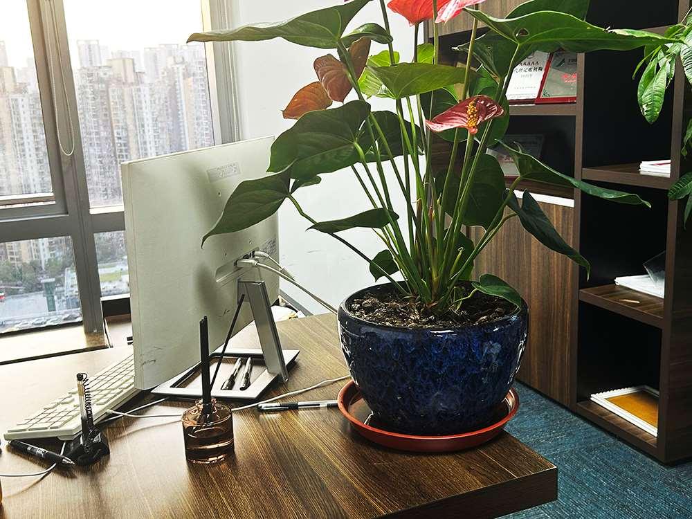 有限责任公司行业适配型注册资本