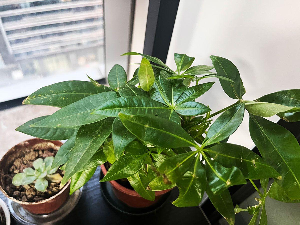 14类的商标要留意什么