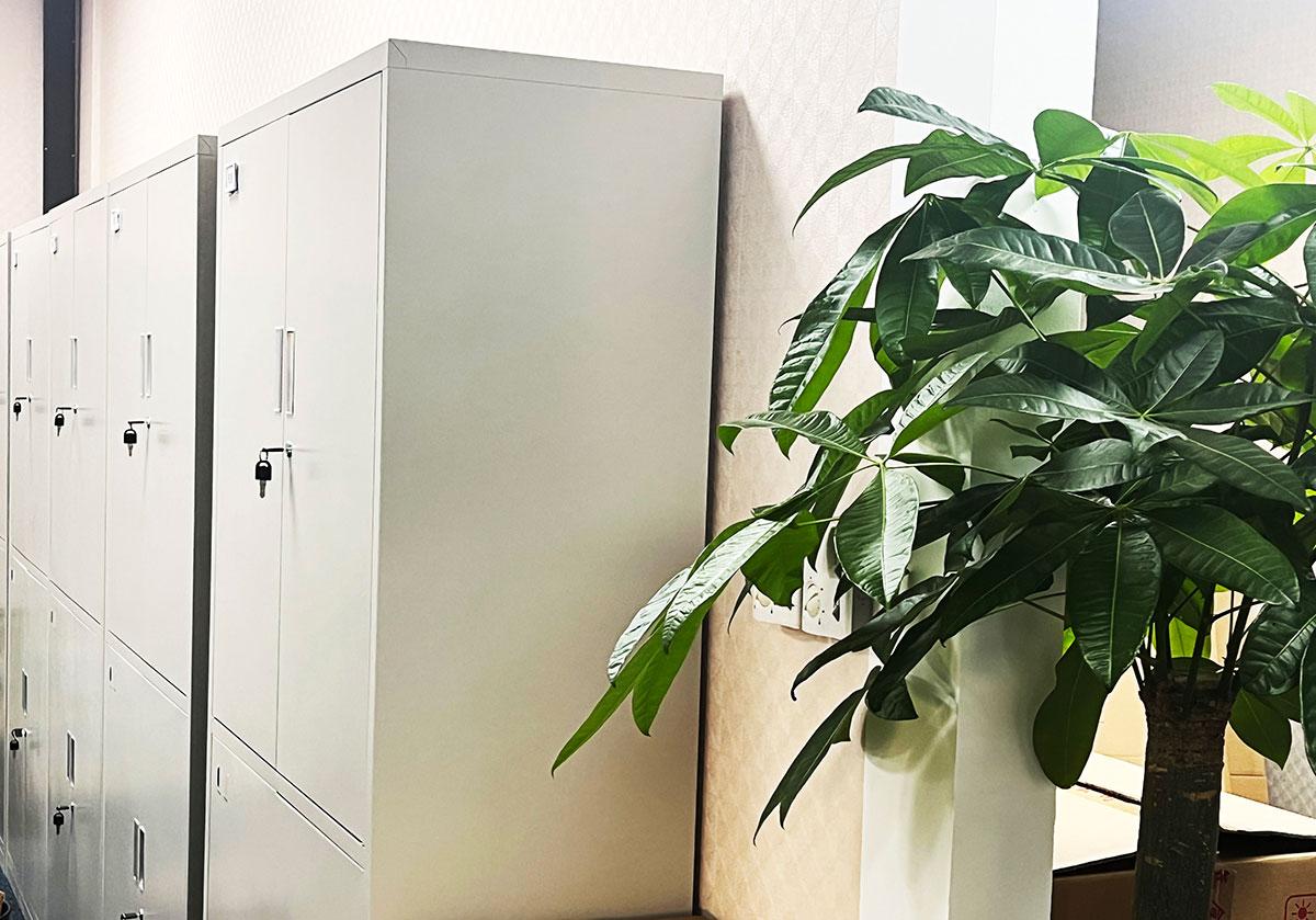 东莞公司注册核名材料清单