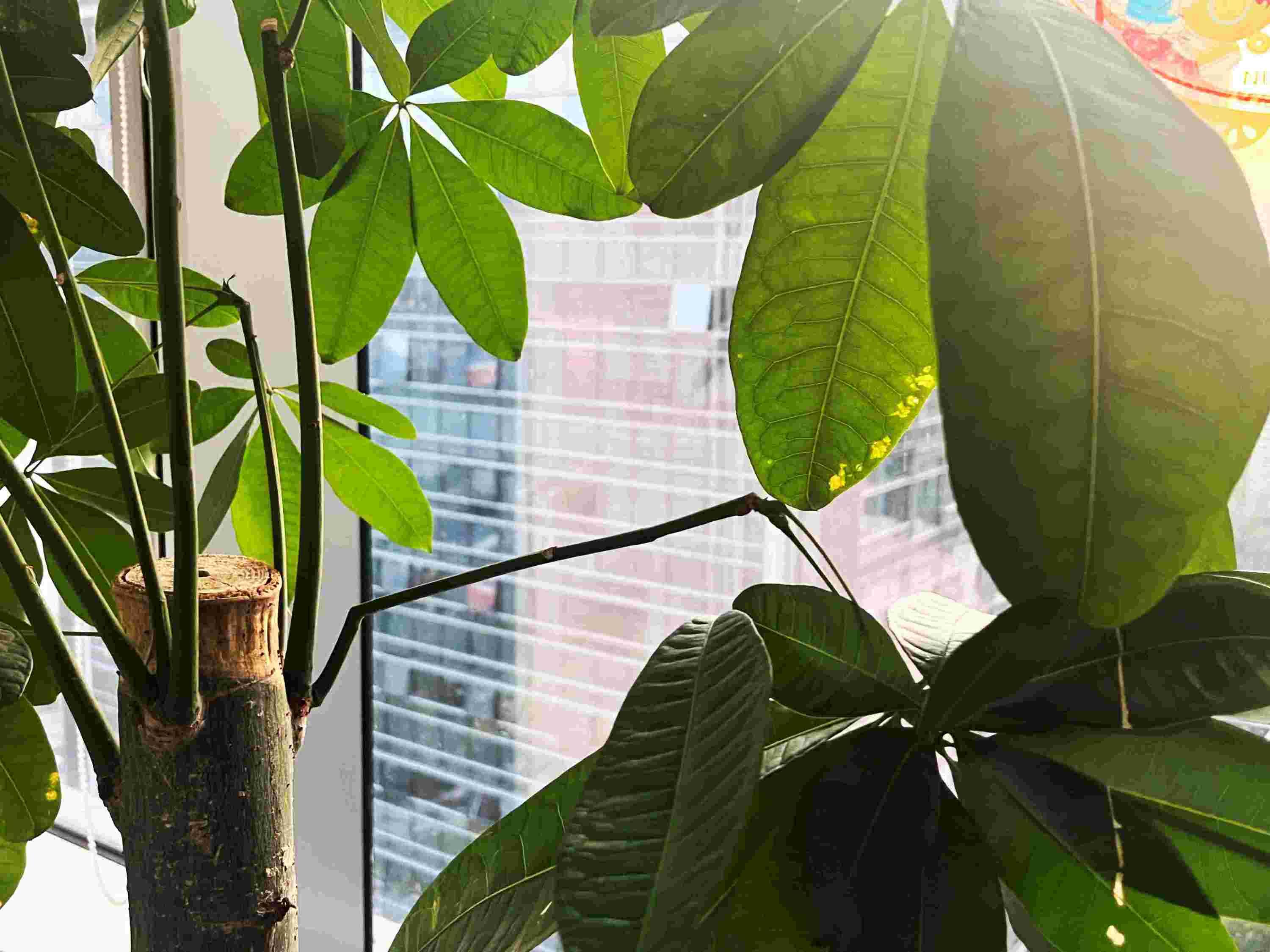 建筑资质专业代办流程