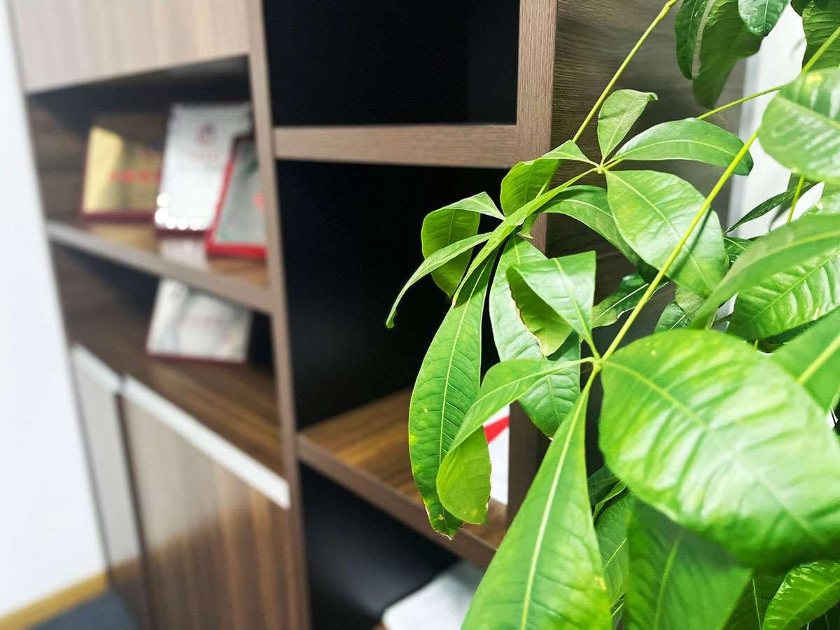 商贸公司注册经营范围有哪些