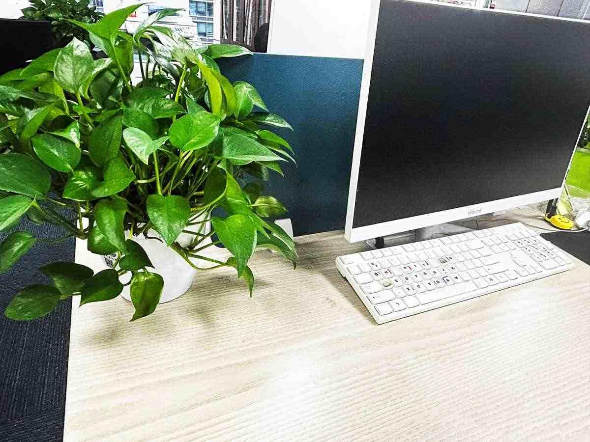 如何起公司名字的相关过程？