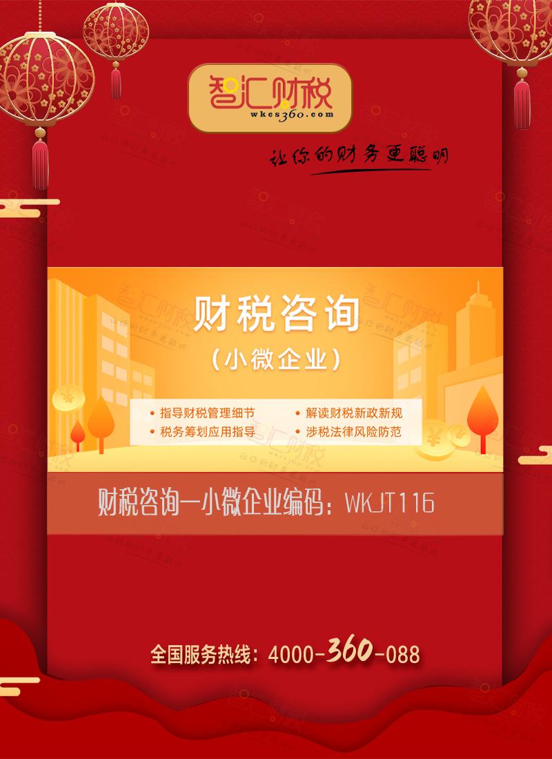财税咨询（小微企业）