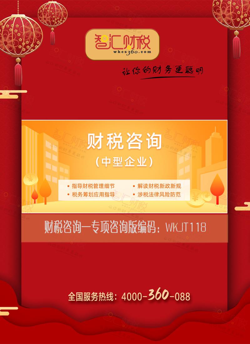 财税咨询（专项咨询版）