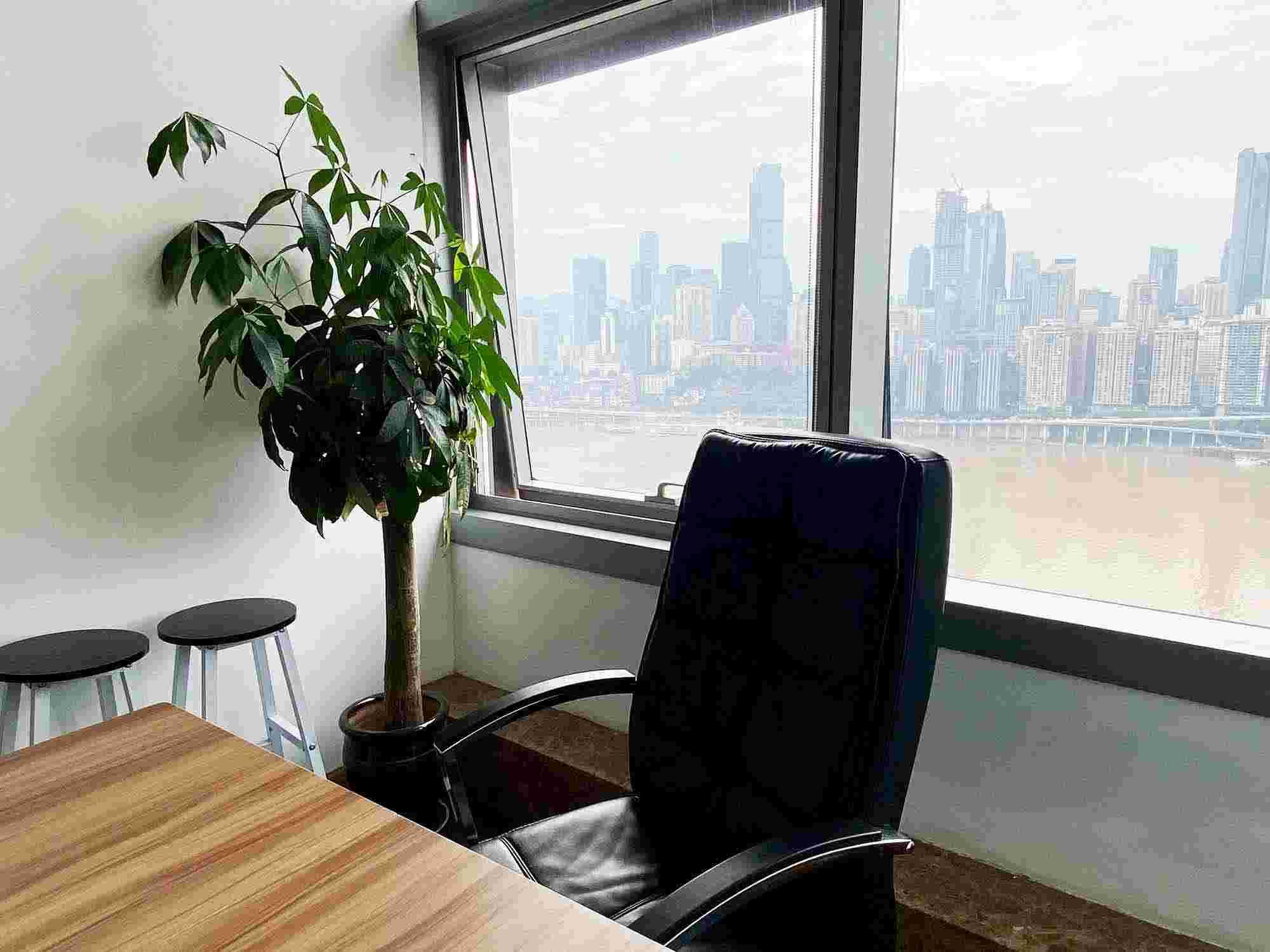 工商外资年检公示方案