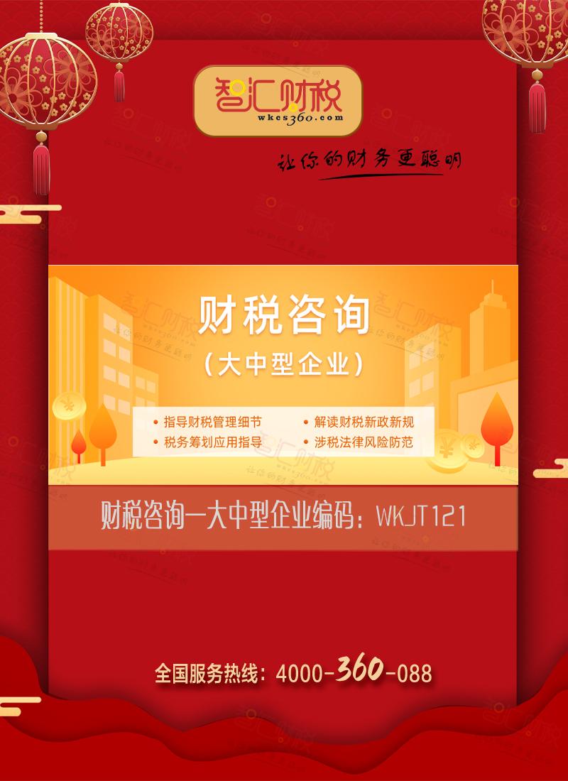 财税咨询（大中型企业）