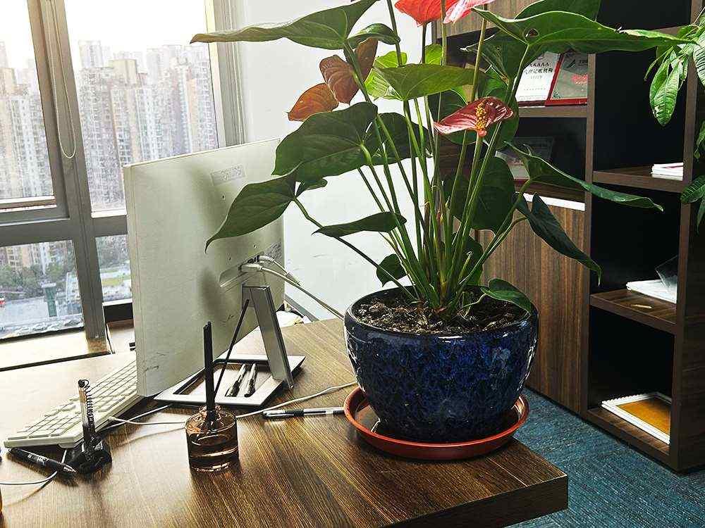 商标规范买卖有哪些流程？