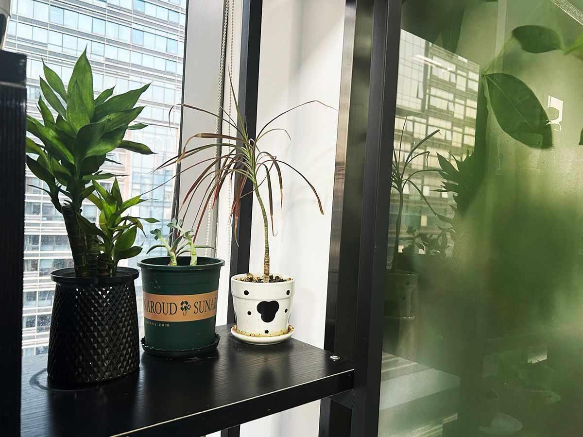 计提证券印花税常见风险