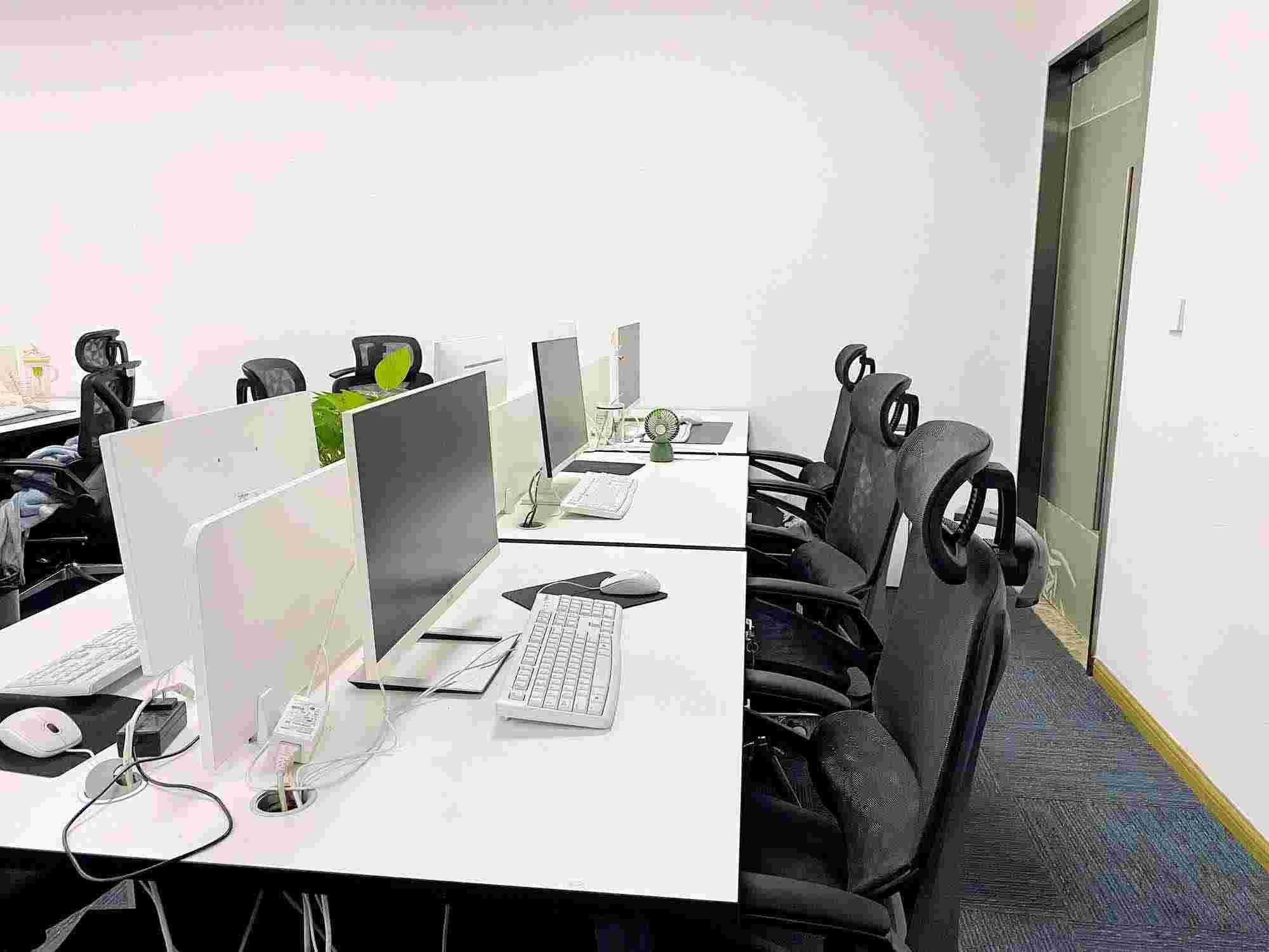 测公司品牌名字评估