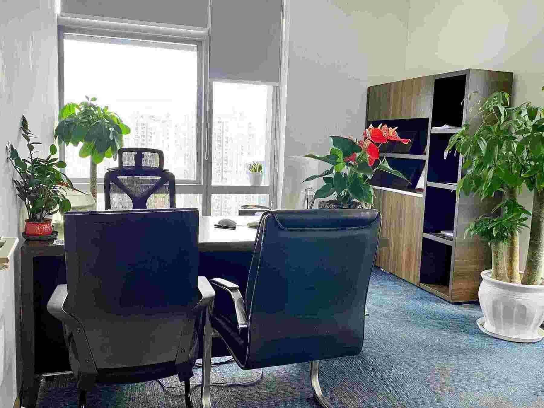 开公司注册登记流程