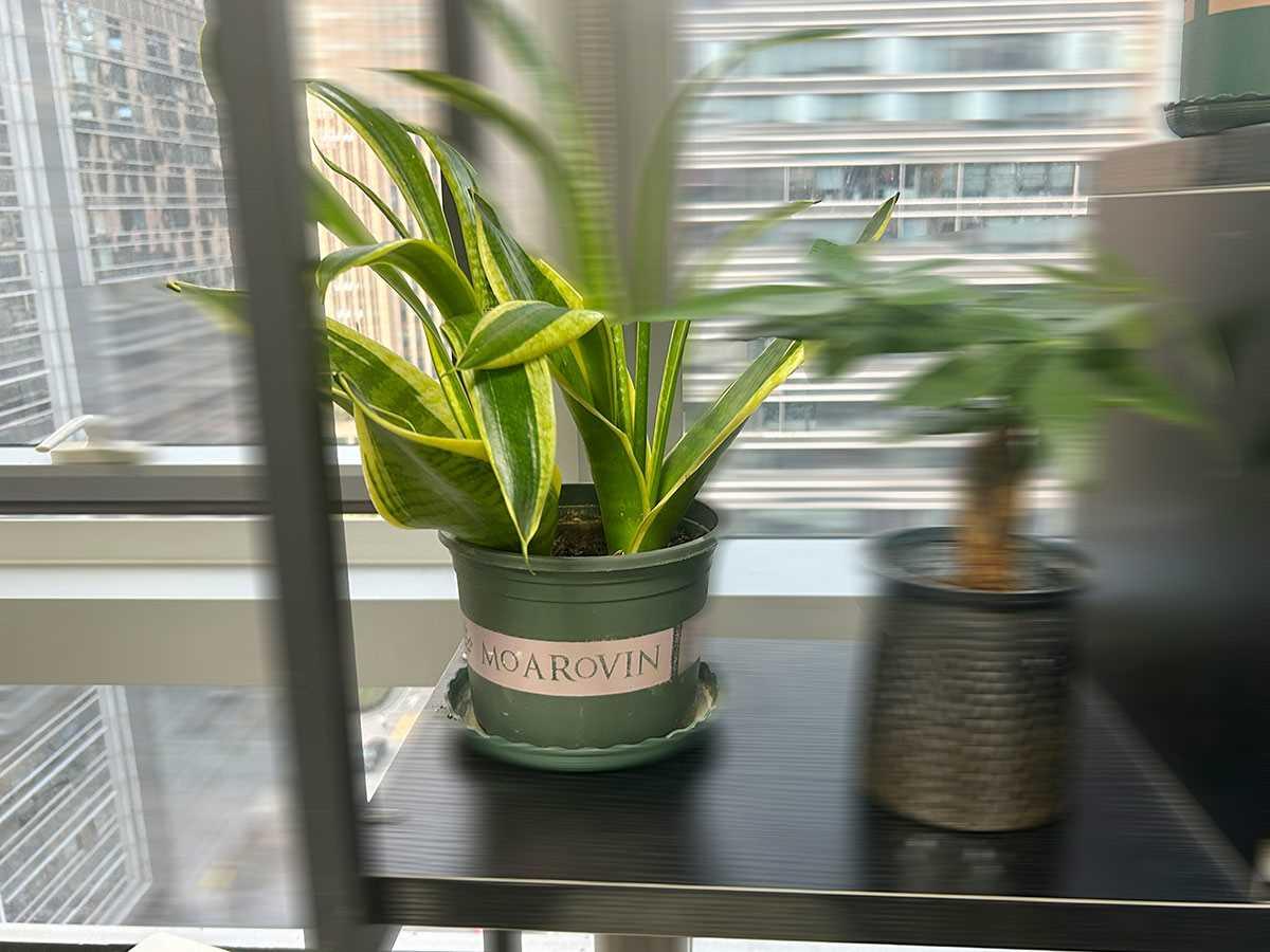 办个体营业执照材料解析