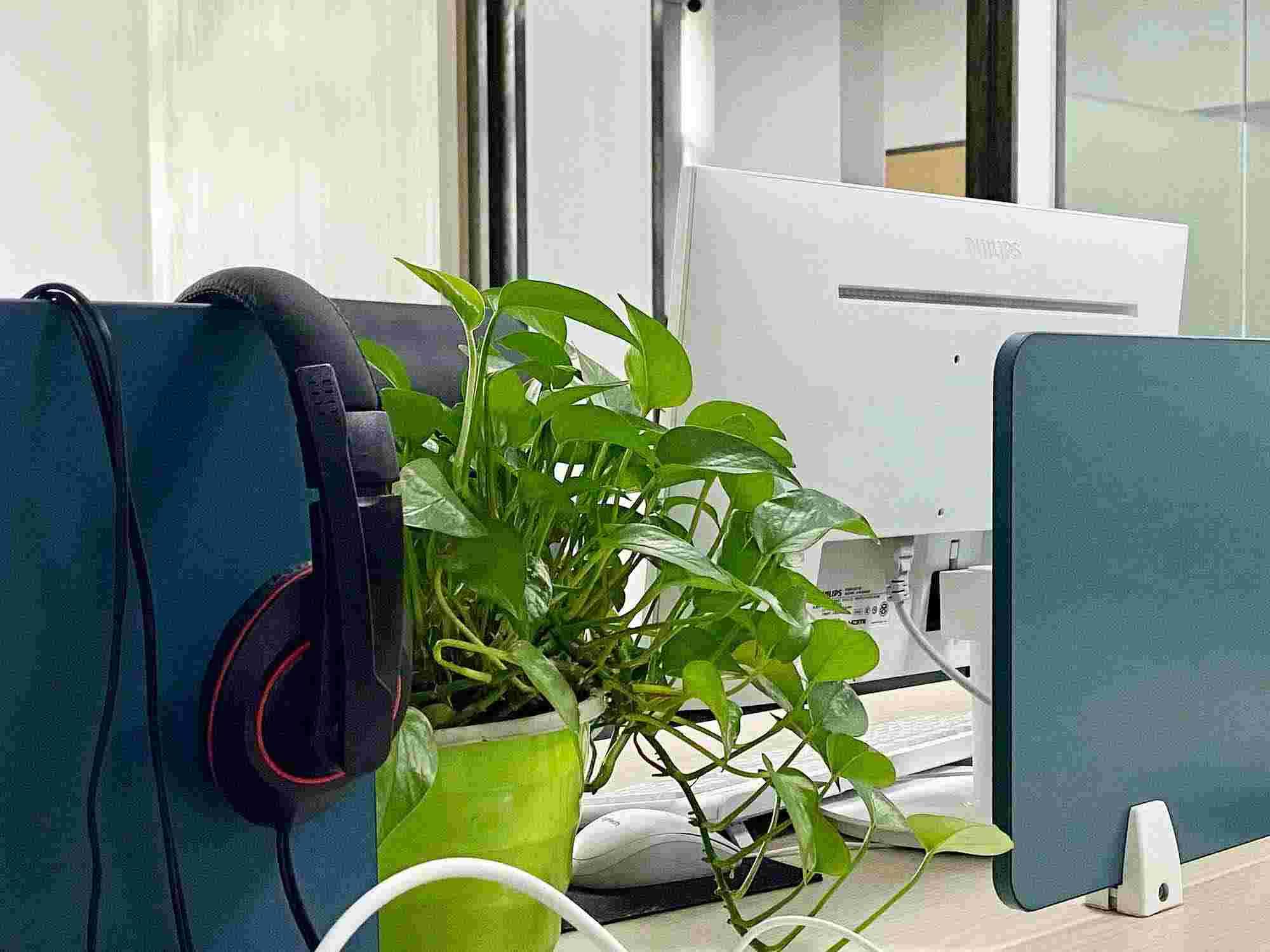 进出口贸易退税操作流程