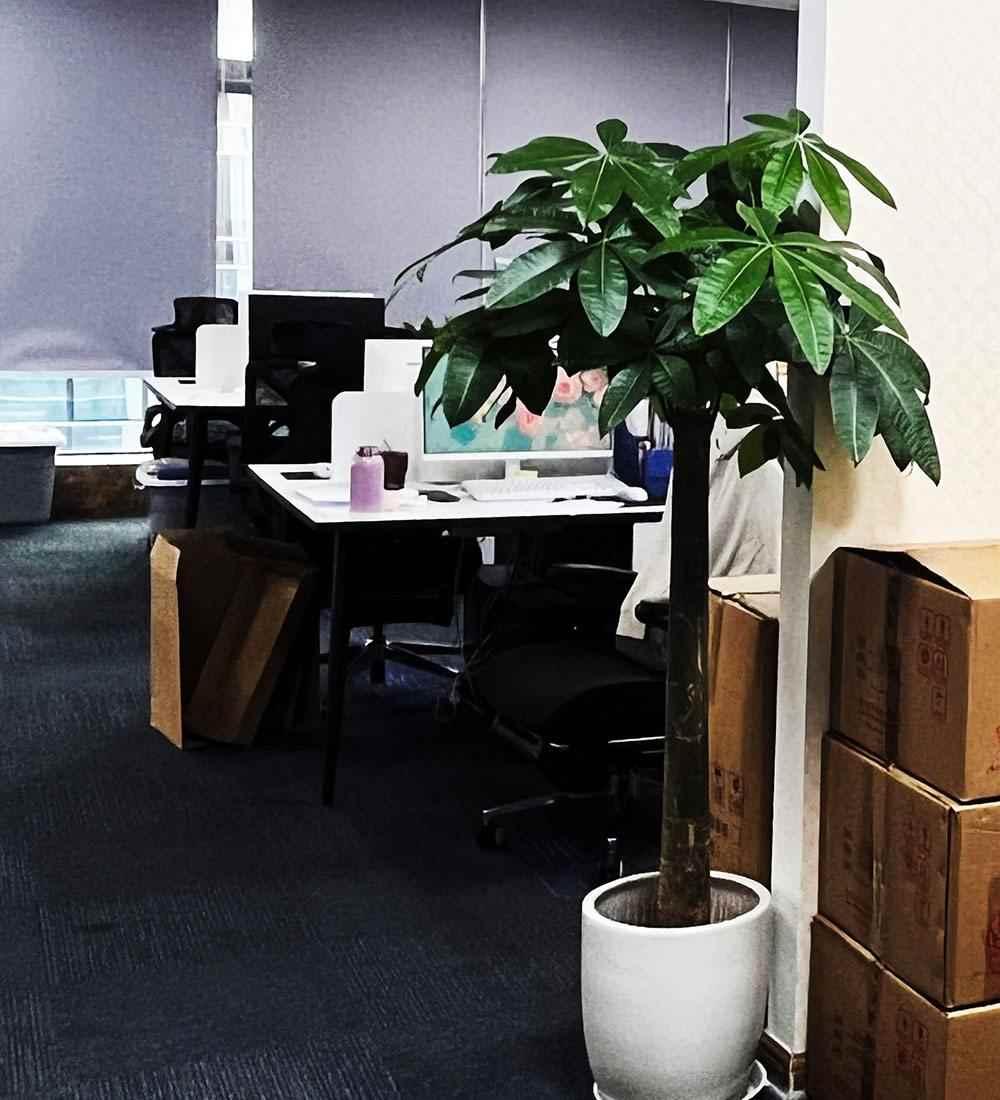 汽车审查商标方案