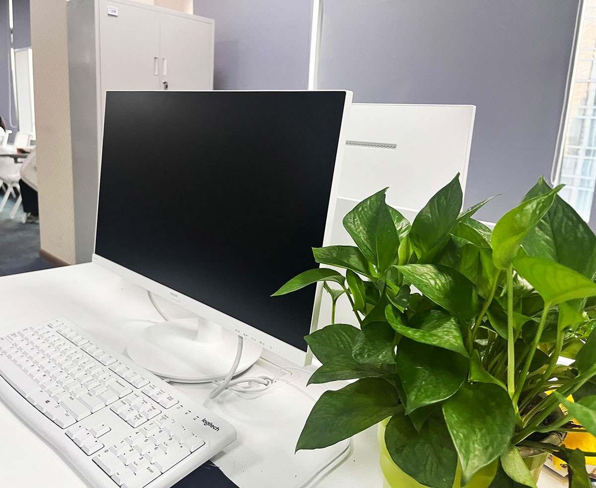 保定汽车维修优质指南