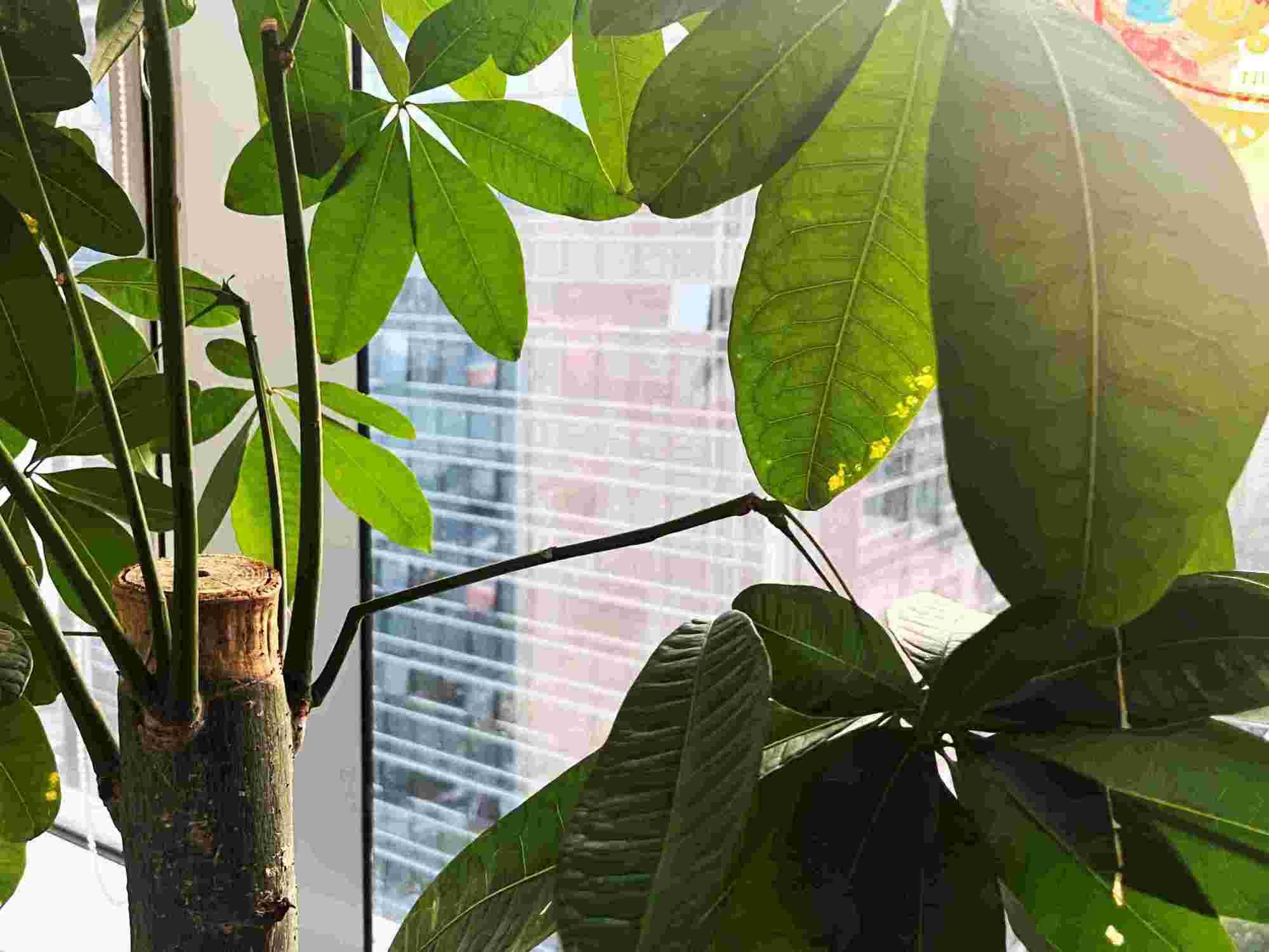 福州汽车维修该怎么选靠谱门店？