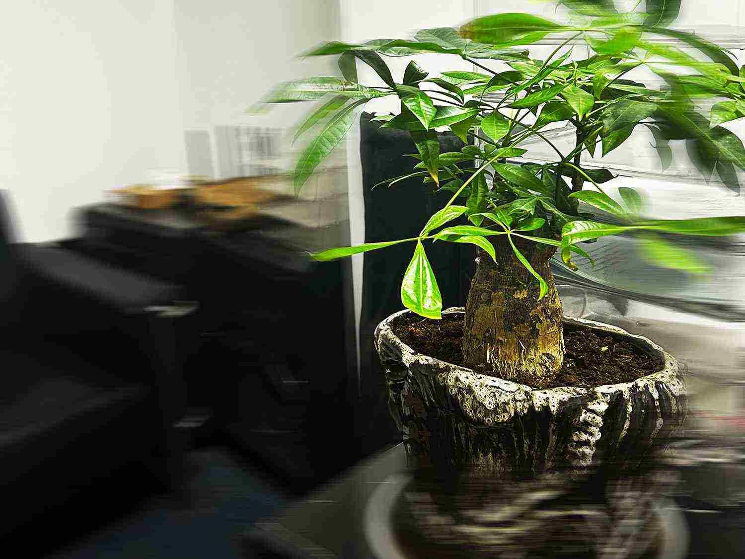 绍兴代理注册公司怎么样？