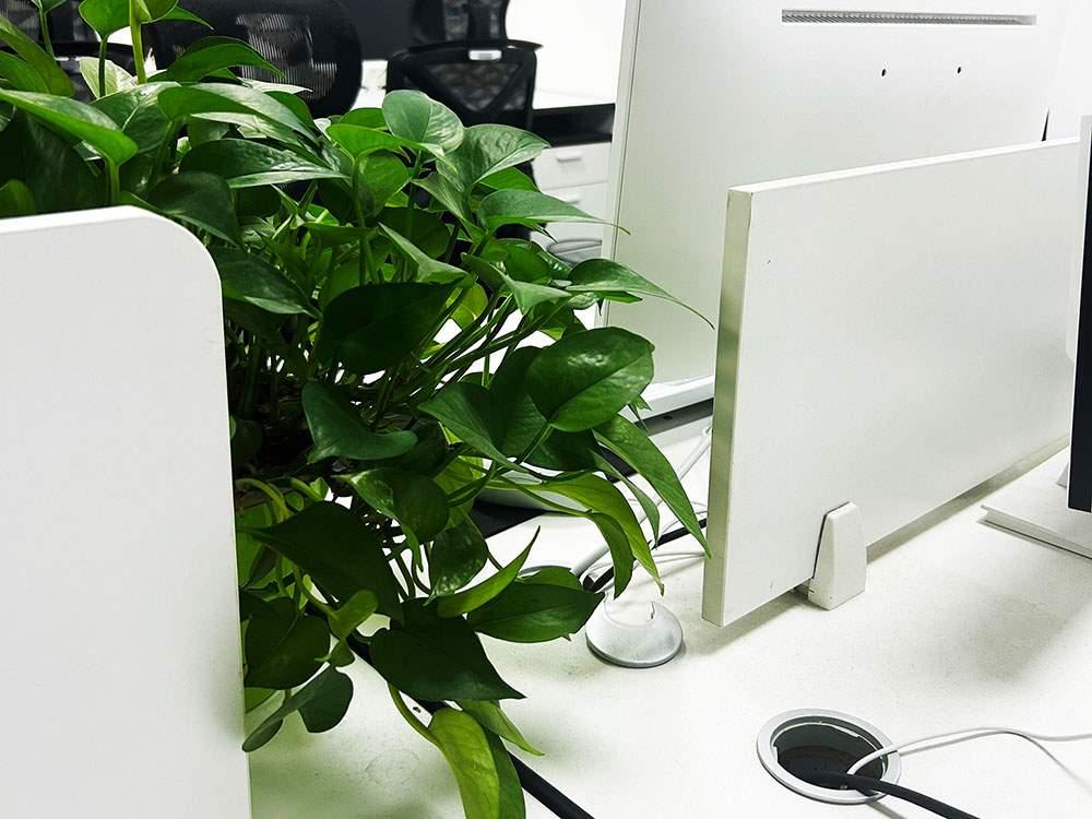 个人所得税缴纳标准全知道 个人所得税缴纳标准全知道